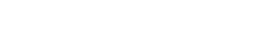 aerofoils and audi cooperation logo brandmark white_S